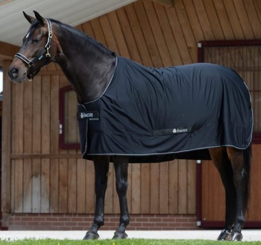 Derka osuszająca POWER - Bucas - black/silver