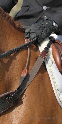 Patent Freejump New collar system