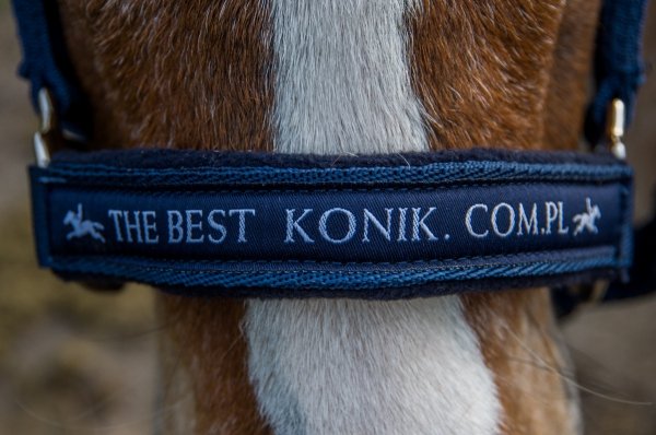 *Edycja limitowana!* Kantar MEMPHIS &quot;THE BEST KONIK.COM.PL&quot; - Schockemohle