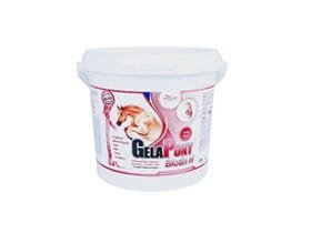 Biotyna GelaPony Biotin H 12 kg - Orling