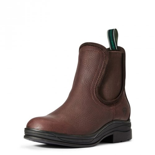 Sztyblety KESWICK H2O AW20 - ARIAT - dark brown