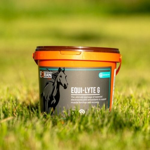 Elektrolity EQUI-LYTE G 1kg - FORAN