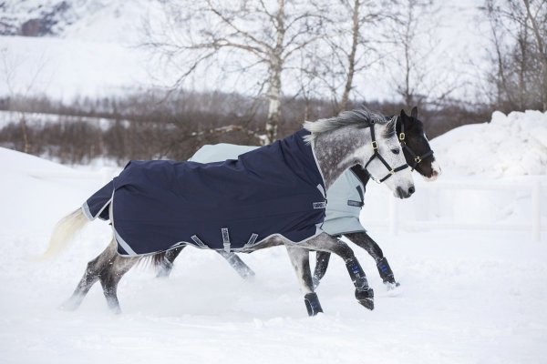 Derka padokowa 200g 1000D RAMBO Original - Horseware - navy/silver