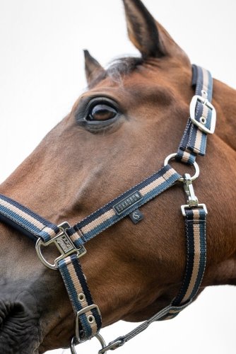 Kantar DOUBLE PIN Classic Sports S/S 26 - Eskadron - ocean/sierra/navy