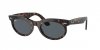 OKULARY RAY-BAN® WAYFARER OVAL RB 2242 902/R5 53 ROZMIAR M