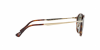 OKULARY PERSOL® PO 3166S 24/31 51 ROZMIAR M