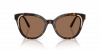 OKULARY SWAROVSKI SK 6031 100273 53 ROZMIAR M