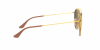 OKULARY RAY-BAN® ROUND RB 3647N 001/7O 51 ROZMIAR M