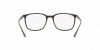 OKULARY KOREKCYJNE RAY-BAN® RX 7199 8063 54 ROZMIAR M