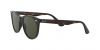 OKULARY RAY-BAN® WAYFARER II RB 2185 902/31 55 ROZMIAR M
