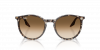 OKULARY RAY-BAN® RB 2204 143151 51 ROZMIAR M