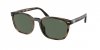 OKULARY POLO RALPH LAUREN PH 4208U 597471 55 ROZMIAR M