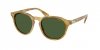 OKULARY POLO RALPH LAUREN PH 4221 618571 52 ROZMIAR M