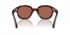 OKULARY PERSOL® PO 0060S 24/H2 52 ROZMIAR M