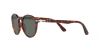 OKULARY PERSOL® PO 3171S 24/31 52 ROZMIAR M