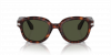 OKULARY PERSOL® PO 0060S 24/31 50 ROZMIAR M