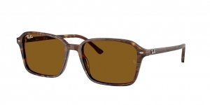 OKULARY RAY-BAN® RAIMOND RB 2231 141833 58 ROZMIAR L
