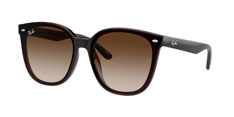 OKULARY RAY-BAN® RB 4423D 714/13 66 ROZMIAR L