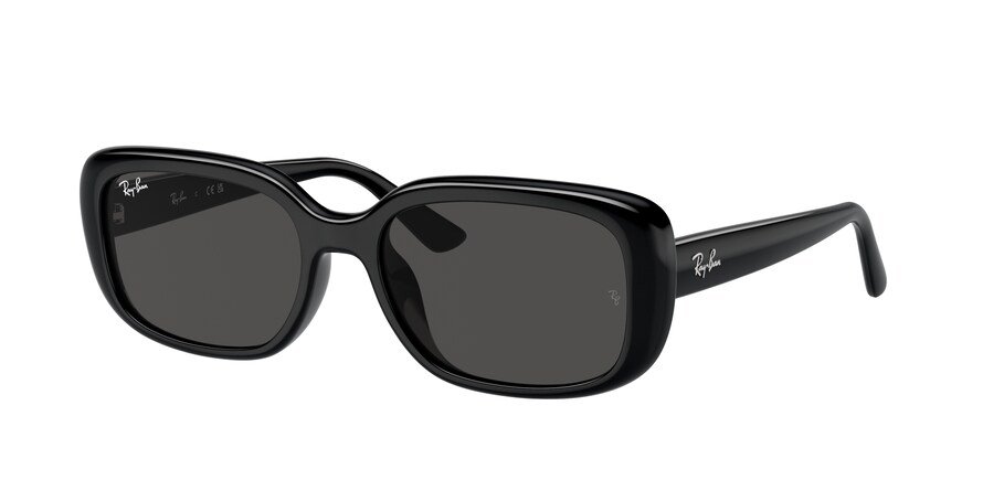 OKULARY RAY-BAN® RB 4421D 667787 56 ROZMIAR M