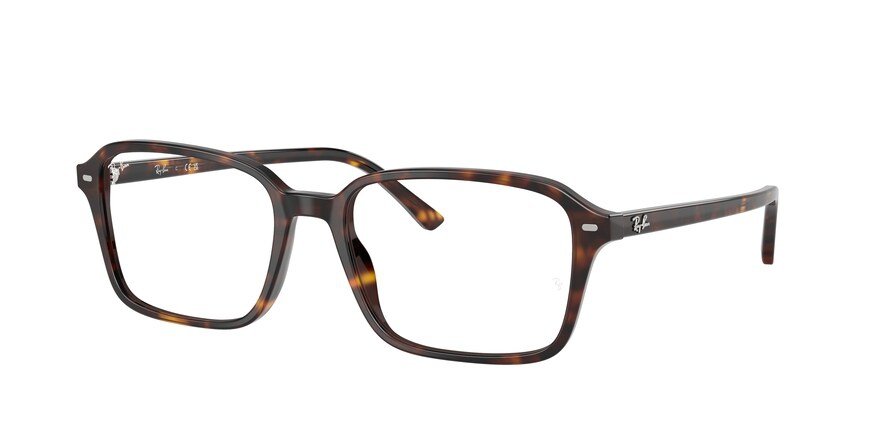 OKULARY KOREKCYJNE RAY-BAN® RAIMOND RX 5431 2012 54 ROZMIAR M