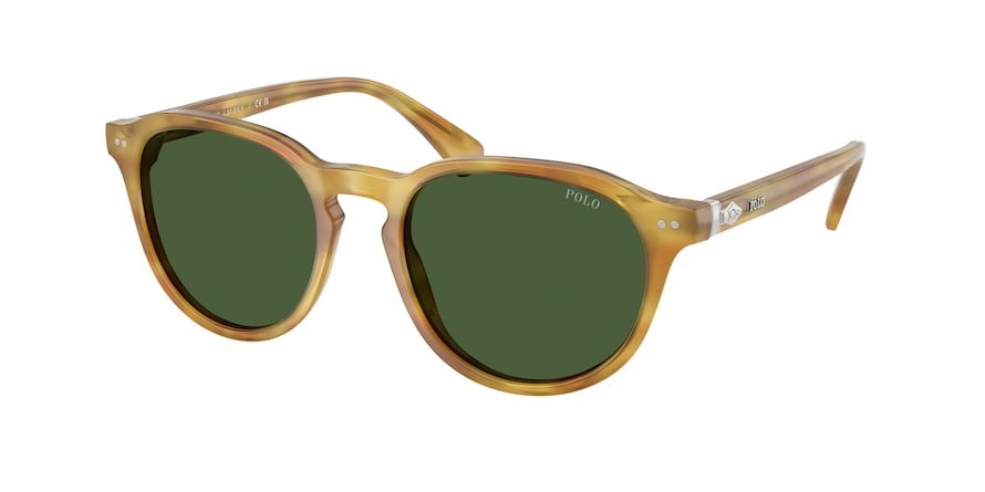 OKULARY POLO RALPH LAUREN PH 4221 618571 52 ROZMIAR M