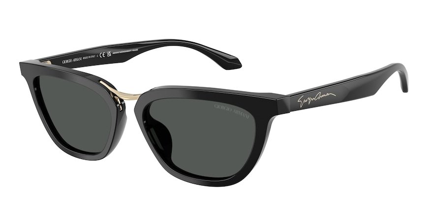 OKULARY GIORGIO ARMANI AR 8253U 501787 54 ROZMIAR M