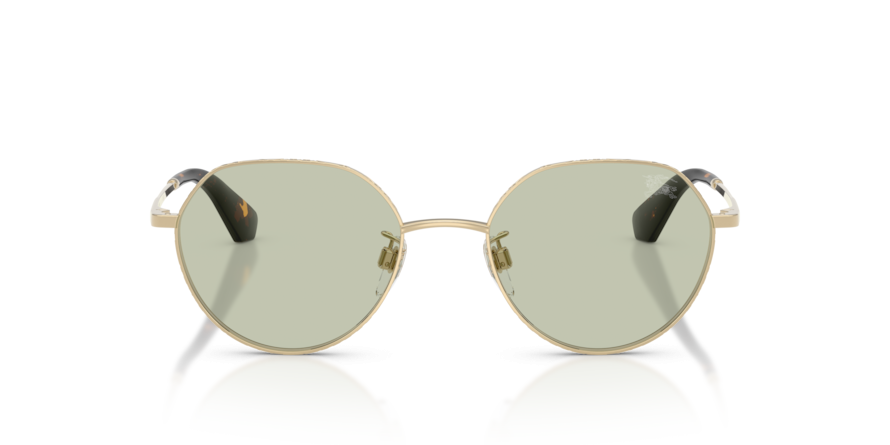 OKULARY BURBERRY BE 3173D 1109/2 51 ROZMIAR M