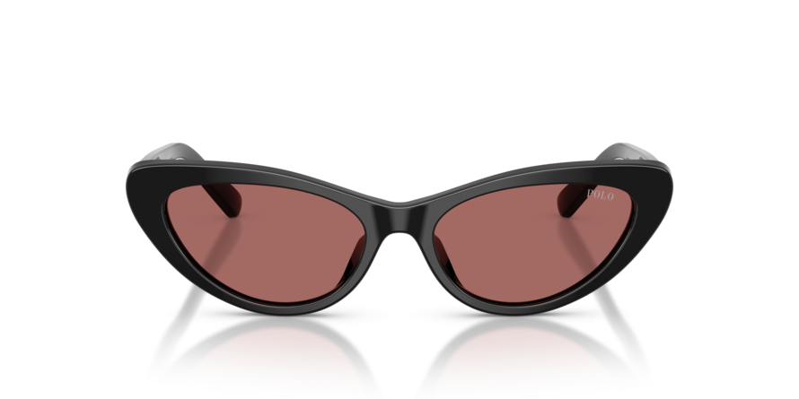 OKULARY POLO RALPH LAUREN PH 4199U 500169 54 ROZMIAR M