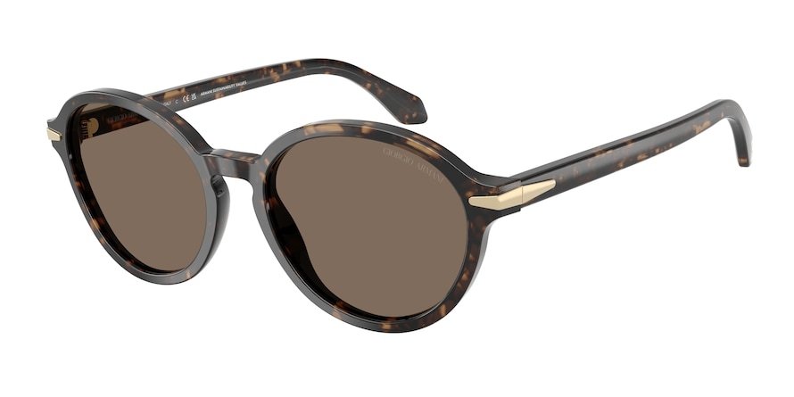 OKULARY GIORGIO ARMANI AR 8237 623573 53 ROZMIAR M