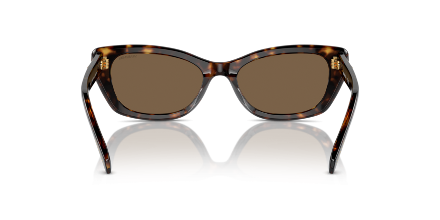 OKULARY SWAROVSKI SK 6019 100273 54 ROZMIAR M