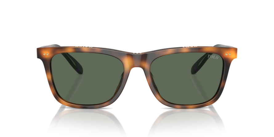 OKULARY POLO RALPH LAUREN PH 4205U 608971 56 ROZMIAR M