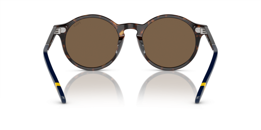 OKULARY POLO RALPH LAUREN PH 4204U 500373 53 ROZMIAR M