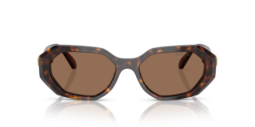 OKULARY SWAROVSKI SK 6028 100273 54 ROZMIAR M