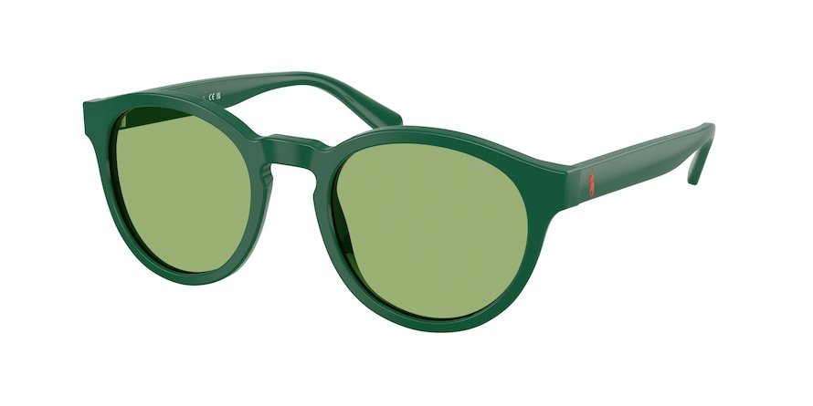 OKULARY POLO RALPH LAUREN PH 4192 6141/2 51 ROZMIAR M