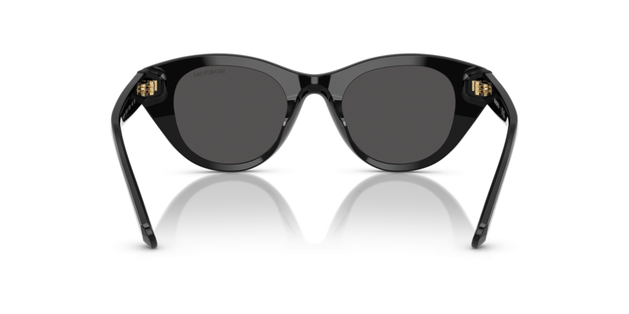 OKULARY SWAROVSKI SK 6025 100187 47 ROZMIAR S