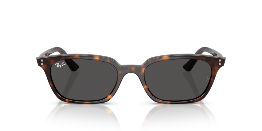 OKULARY RAY-BAN® ZAYA RB 4456 135987 50 ROZMIAR S