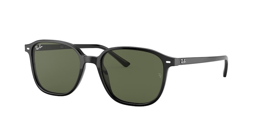 OKULARY RAY-BAN® LEONARD RB 2193 901/31 55 ROZMIAR M