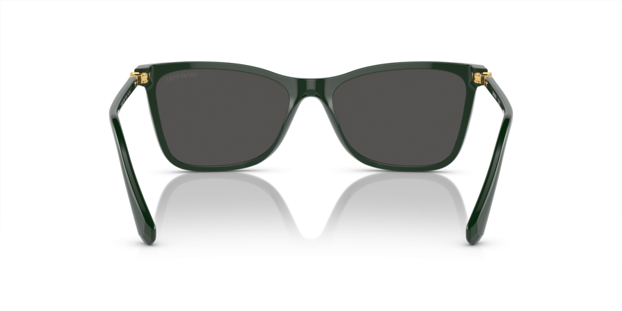 OKULARY SWAROVSKI SK 6004 102687 55 ROZMIAR M