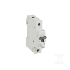 WYŁĄCZNIK NADPRĄDOWY RX3 1P B 6A 6000