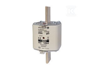 WKŁADKA BEZP NH3 250A 800V AC GG