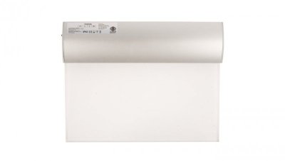 Oprawa awaryjna 1.2W 3h IP41 Ikl. TWINS LED jednozadaniowa dwustronna TW/1,2W/E/3/SE/PT/SR