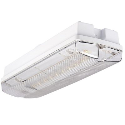 ORION LED OPRAWA AWARYJNA NT  100 4W 3H SA AT IP65