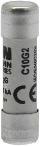 WKŁ.CYL.10X38 2A GG 500V AC