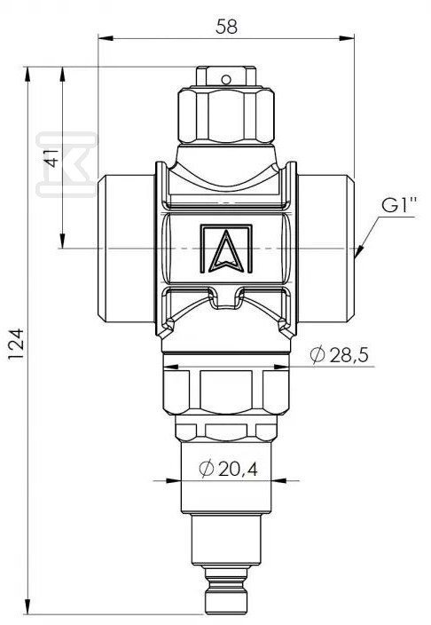 ZAWÓR ANTYZAMROŻENIOWY AAV 100, G1&quot;