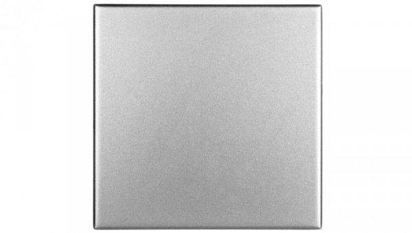 DANTE Klawisz pojedynczy inox 454121