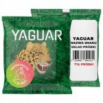 Yerba Mate Yaguar Frutas Dulces 50g Mango Gruszka