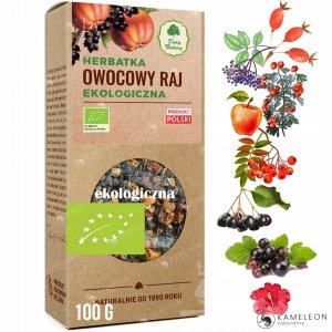 HERBATKA OWOCOWY RAJ BIO 100 g - DARY NATURY