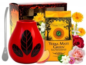 Zestaw Startowy w pudełku Exclusive Yerba Mate Green + Bombilla + Matero