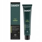 Dandy Krem Koloryzujący dla Mężczyzn Odsiwiacz Siwe MAN 60ml 5 JASNY BRĄZ