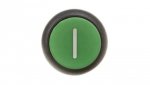 Napęd przycisku zielony z samopowrotem M22S-D-G-X1 216608